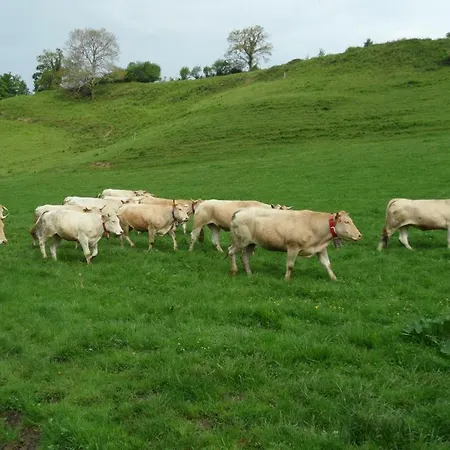 Chez Lilles Nyaraló *