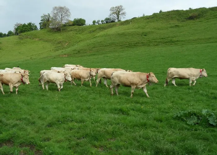 Chez Lilles Casa vacanze *